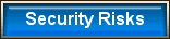 Top Ten Security Risks